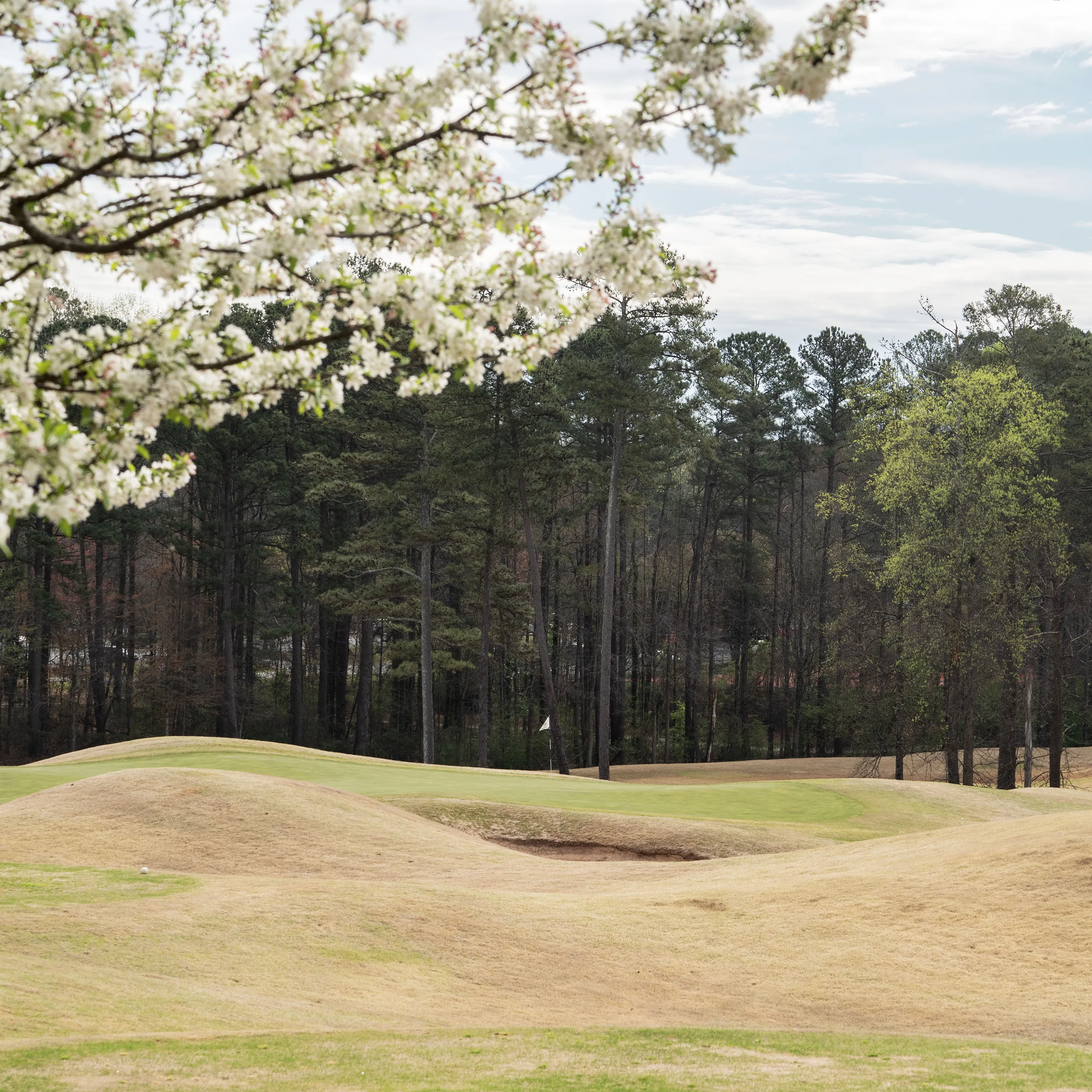The nine-hole Tradition course at Heritage Golf Links in Gwinnett County's unincorporated Norcross.
