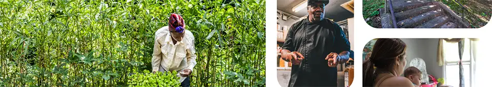 A collage of images including a woman havesting vegetables, a chef in his kitchen and a woman holding an infant.