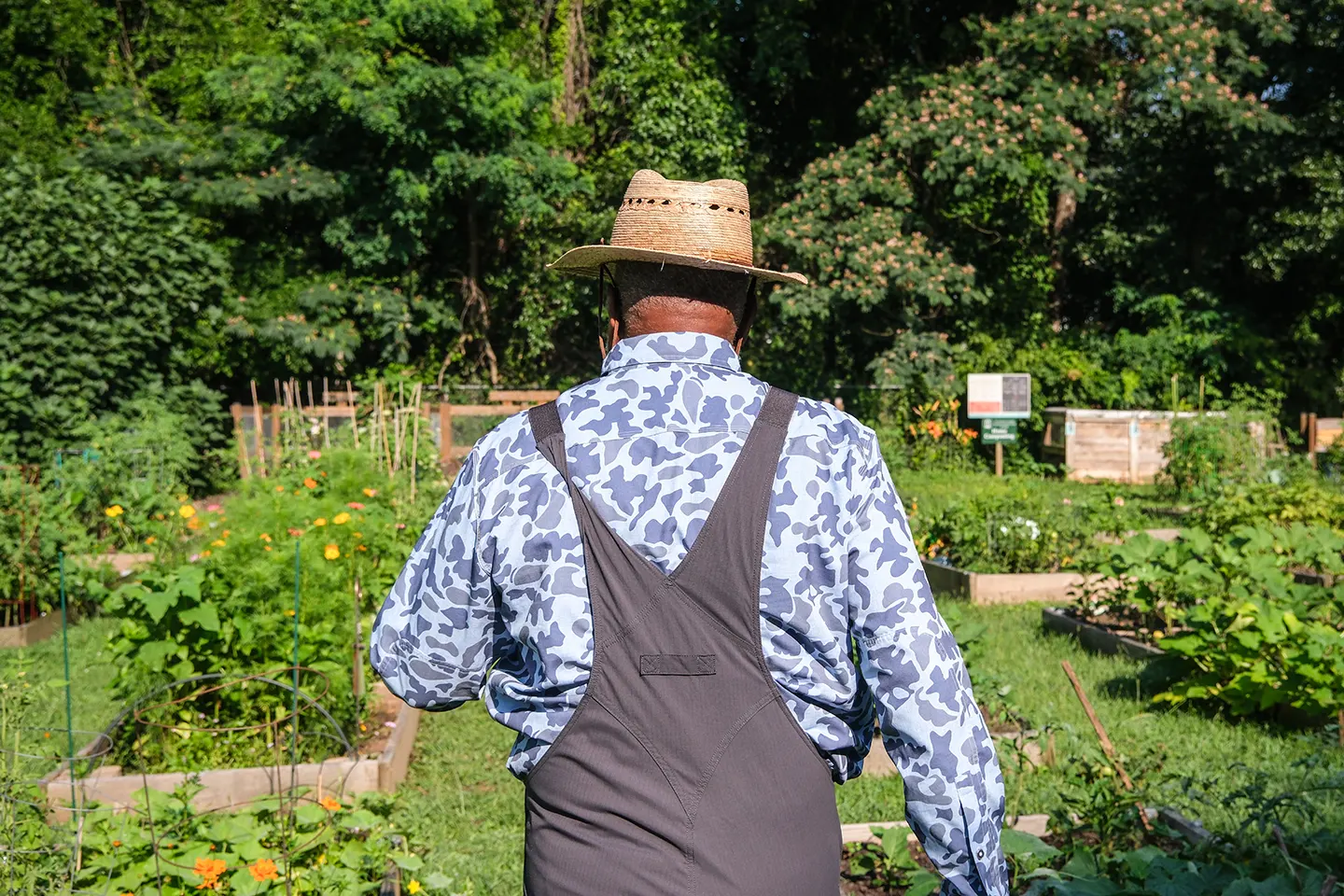 Columbus Brown, master gardener, walks through Stone Mountain Community Garden.