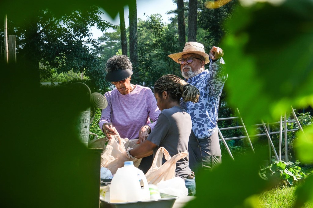 Columbus Brown and two others work in the Stone Mountain Community Garden.