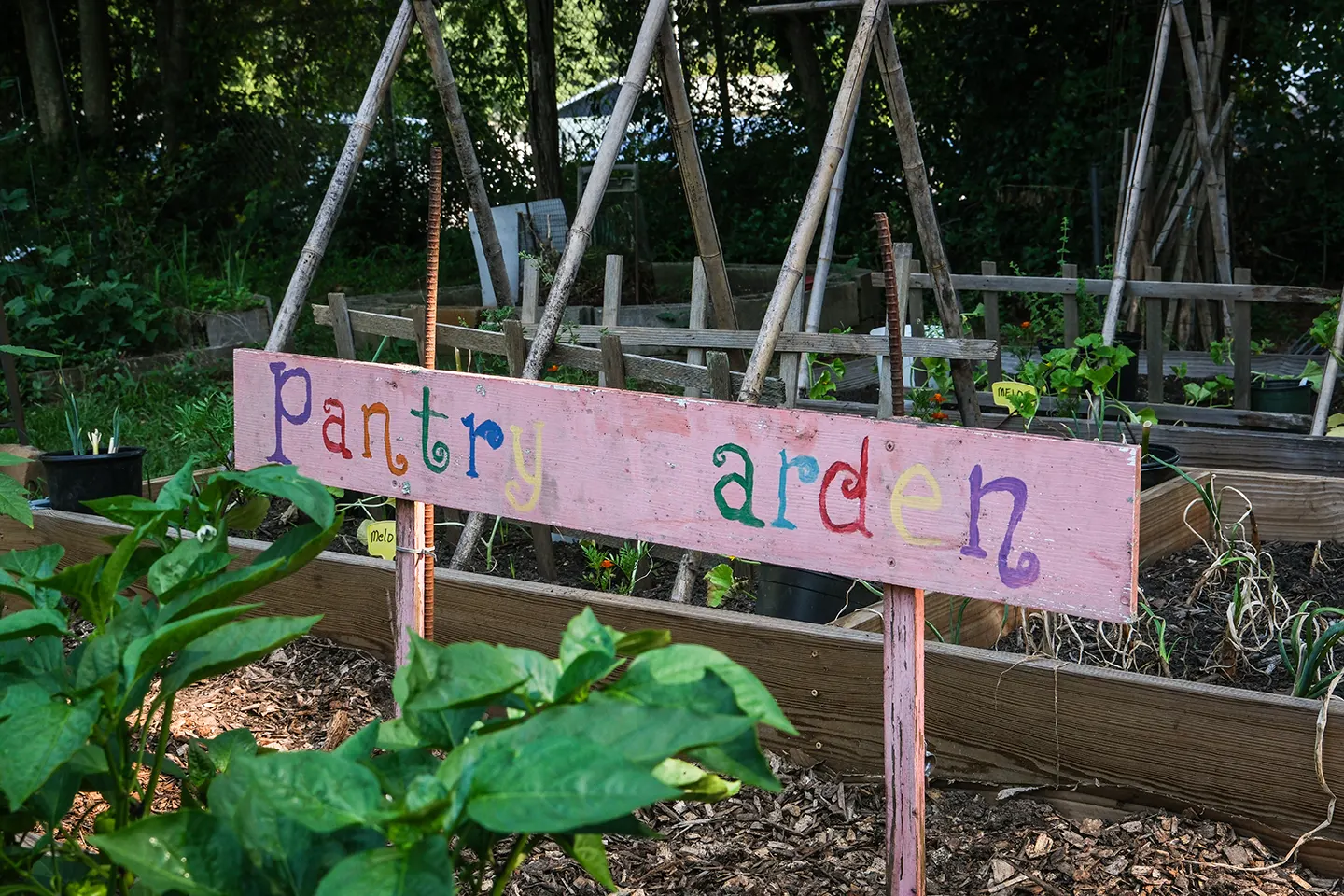 A hand painted wooden sign reads, "Pantry Garden".
