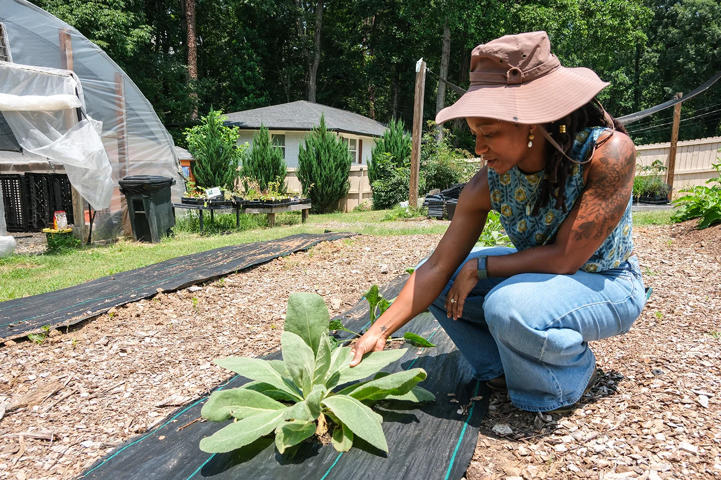 Patty Lacrete tends to ashwagandha plants at Bed Head, her medicinal herb farm in East Point, Georgia.